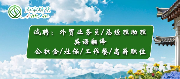 ag尊龙凯时中国官网